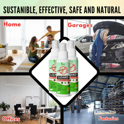 Lizard Repellent Spray - Protect your home [Buy 1 Get 2 Free] 😍